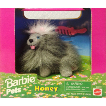 Honey Barbie Pets
