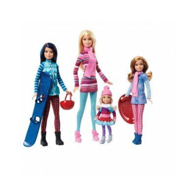 Muñecas y accesorios Barbie Pink Passport