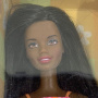 Muñeca Barbie Spring Day (AA)