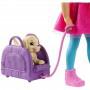 Chelsea Barbie Dreamhouse Adventures Vamos de Viaje, muñeca con accesorios
