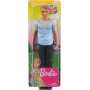 Muñeco Ken Barbie Dreamhouse Adventures