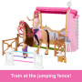 Barbie Mysteries: The Great Horse Chase Stable Playset con muñeca, caballo de juguete y accesorios, más de 25 piezas