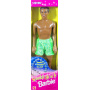 Muñeco Steven Barbie Sparkle Beach