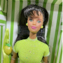 Muñeca Barbie Sorbete de lima limón Fantasía de Frutas (AA) exclusiva Avon