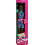 Muñeca Barbie Fashion Play (AA)