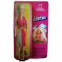 Muñeca Barbie Superstar Standard EU