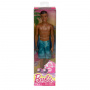 Steven Barbie Beach