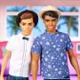 Muñeco Ken Barbie Fashionistas 114