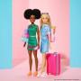 Nikki Barbie Dreamhouse Adventures Vamos de Viaje, muñeca con accesorios