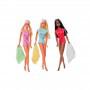 Set de regalo Barbie Malibu