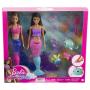 Muñeca y Accesorios Barbie Aventura del Oceano