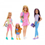 Conjunto de muñecas Barbie Sister con ropa y accesorios, incluye a Barbie, Skipper, Stacie y Chelsea