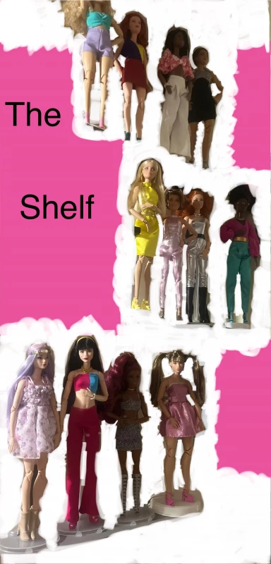 the shelf 